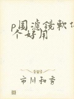 p图滤镜软件哪个好用