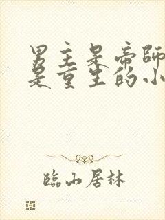 男主是帝师女主是重生的小说