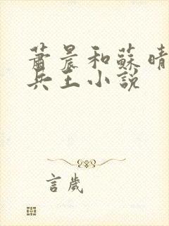 萧晨和苏晴全能兵王小说