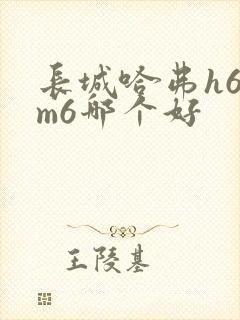 长城哈弗h6与m6哪个好