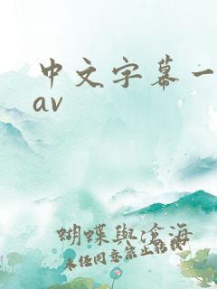 中文字幕一级片av