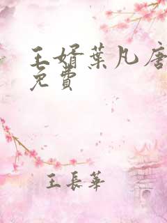 王婿叶凡唐若雪免费