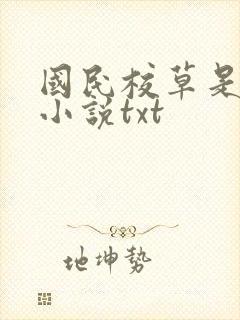 国民校草是女生小说txt