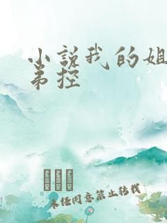小说我的姐姐很弟控