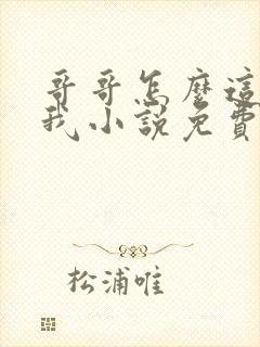 哥哥怎么这样看我小说免费阅读无弹窗