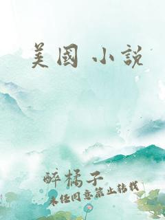 美国 小说