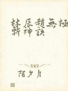 林辰赵无极九天斩神诀