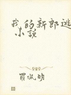 我的新郎逃婚了 小说