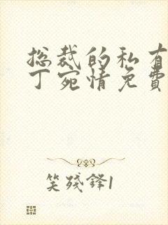 总裁的私有宝贝丁宛情免费阅读