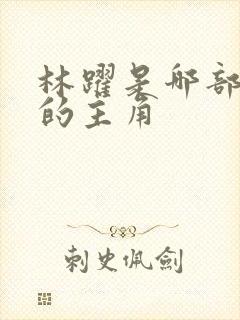 林跃是哪部小说的主角