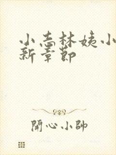 小志林姨小说最新章节