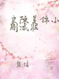 良陈美锦小说无删减版