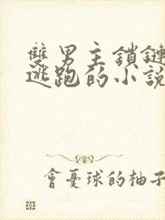 双男主锁链囚禁逃跑的小说