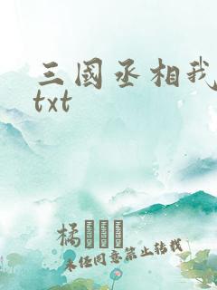 三国丞相我来了txt