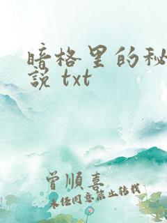 暗格里的秘密小说 txt