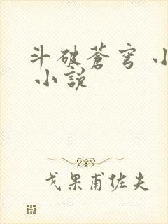 斗破苍穹 小说 小说