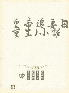 皇帝追妻日常(重生)小说