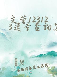 交管123123违章查询怎么查别人的车