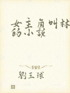 女主角叫林星澜的小说