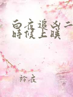 白夜追凶二什么时候上映