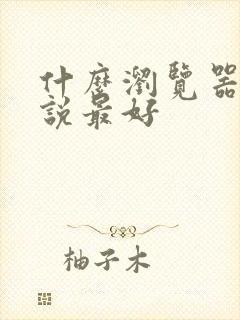 什么浏览器看小说最好