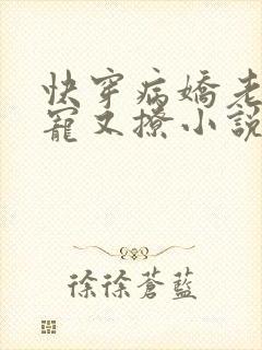 快穿病娇老公又宠又撩小说免费阅读全文