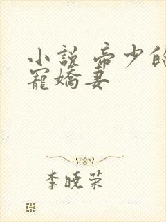 小说 帝少的独宠娇妻