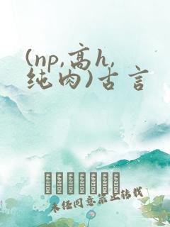 (np,高h,纯肉)古言