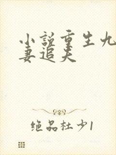 小说重生九零辣妻追夫