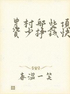 农村哪些项目投资少挣钱快