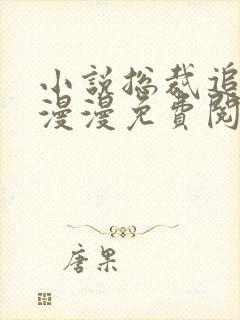 小说总裁追妻路漫漫免费阅读