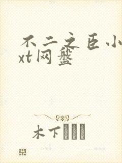 不二之臣小说txt网盘