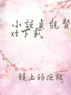 小说贞观贤王txt下载