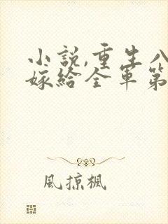 小说,重生八零嫁给全军第一硬汉