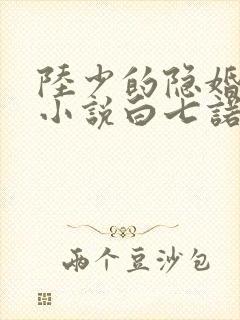 陆少的隐婚罪妻小说白七诺