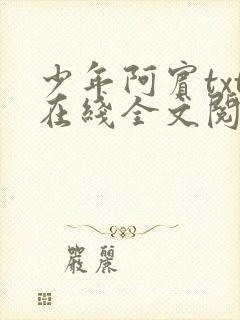 少年阿宾txt在线全文阅读