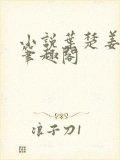 小说叶楚姜君瑶笔趣阁