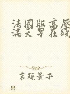 法国版高压监狱满天星在线观看