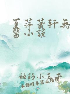夏萍萧轩无敌神医小说