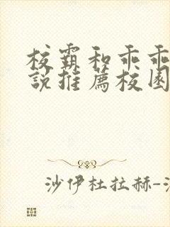 校霸和乖乖女小说推荐校园甜宠文