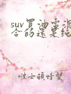 suv买油电混合的还是纯油的好