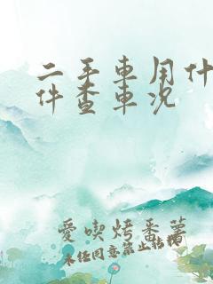 二手车用什么软件查车况