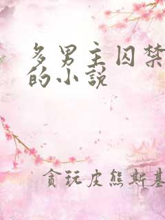 多男主囚禁一主的小说