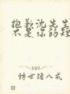 抱歉沈先生孩子不是你的短剧免费观看全集