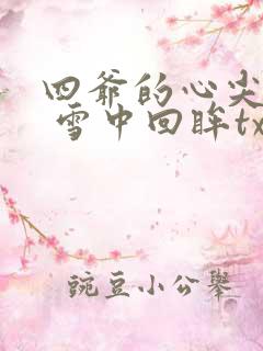 四爷的心尖宠妃 雪中回眸txt