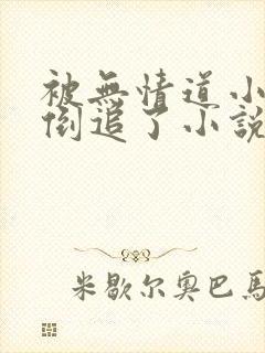 被无情道小师弟倒追了小说免费下载