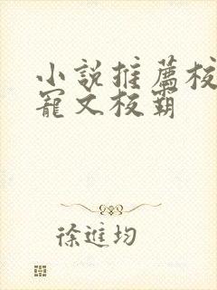 小说推荐校园甜宠文校霸