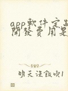 app软件定制开发费用是多少