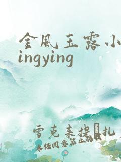 金风玉露小说wingying