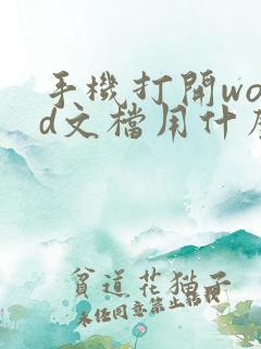 手机打开word文档用什么软件